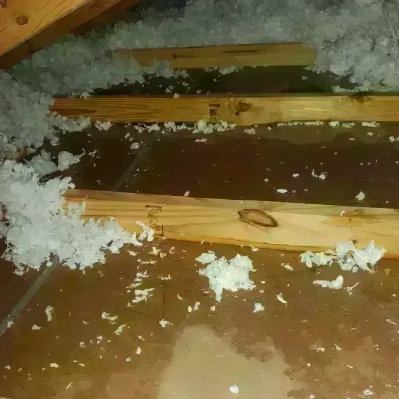 Attic Water Damage in Will County, IL