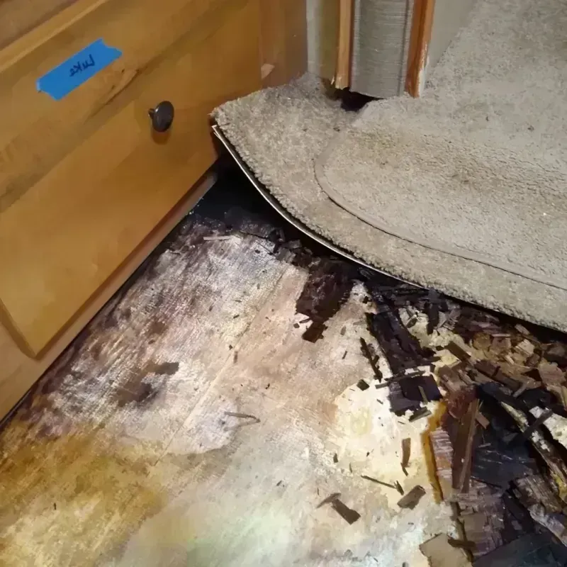 Wood Floor Water Damage in Will County, IL